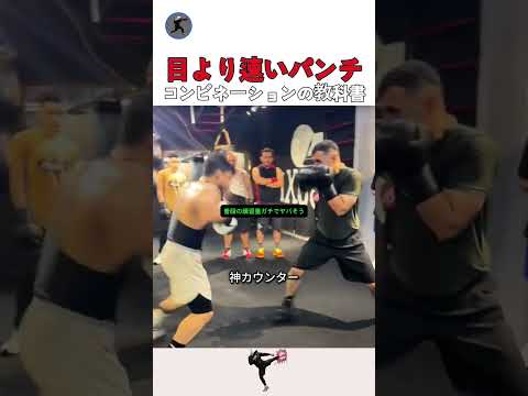 目より速いパンチコンビネーションの教科書