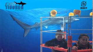 DIA 3 Expo Tiburon107