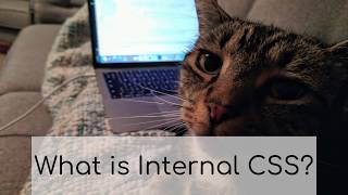 What is Internal CSS? | Coding for Cats