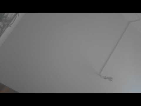 friedrich merz, damit deutschland nicht bunt wird!