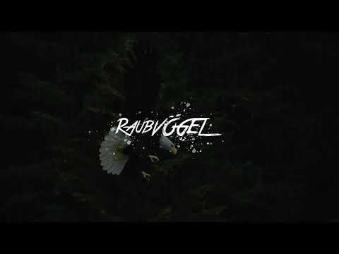 Atures feat. Rekin - Raubvögel