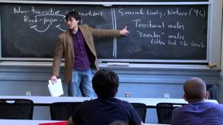 Dynamics of Populations in Space