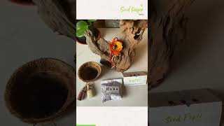 Plantable Rakhi | Sow and Grow Love | Get yourself plantable Rakhi this season for your Loved ones❤️
