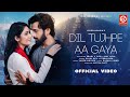 Dil Tujhpe Aa Gaya Video Javed Mohsin Payal Dev Stebin Ben Rashmi V Pearl V Puri Amy Aela