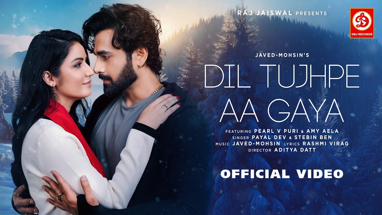 Dil Tujhpe Aa Gaya Song Lyrics – Payal Dev | Stebin Ben