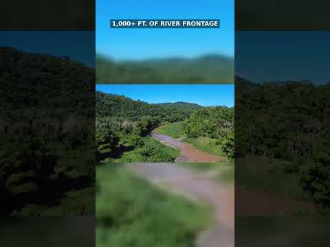 What If You Owned 100+ Acres With a River in Puerto Rico?