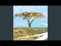 Sheva - Salaam