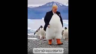 טראמפ בגרינלנד