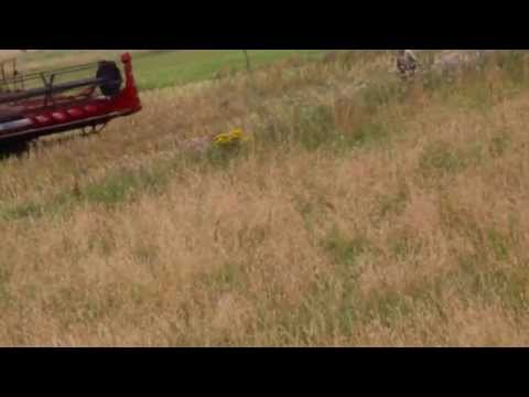 Moderne Fuchsjagd -Deutschland.( Охота на лису-Германия).