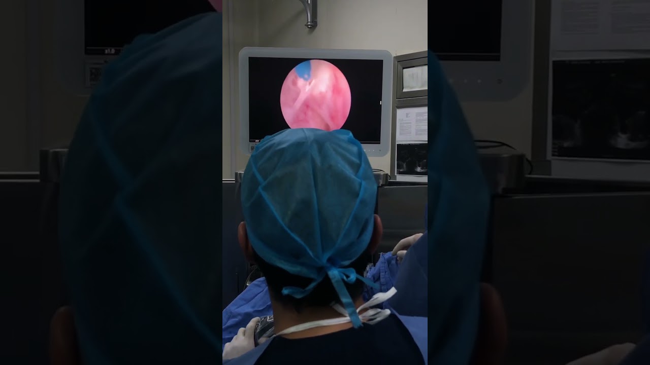 Alfredo Rodríguez Falconi-22