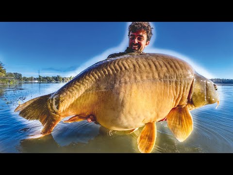 In diesem See leben nur MONSTER 🤯 Karpfenangeln im Herbst