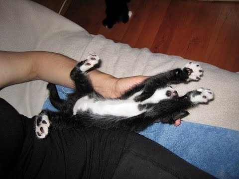 download lagu mp3 mp4 First Love Massage, download lagu First Love Massage gratis, unduh video klip First Love Massage