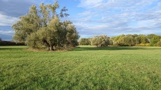 Burzum - Autumn Leaves - Altmark Edition