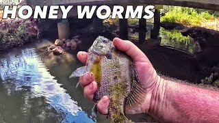 Berkley Powerbait Power Honey Worms Creek Fishing