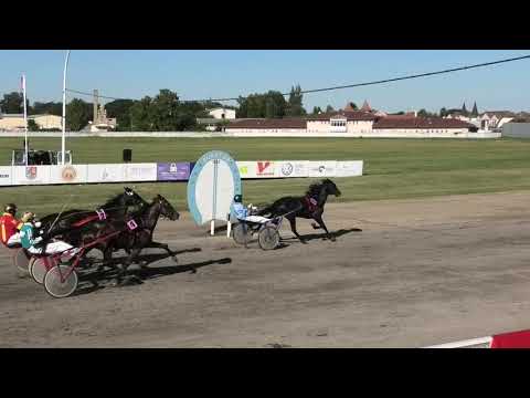 Trka "Skupština grada Subotica" 18.08.2019 Marko - Dalibor Suknović