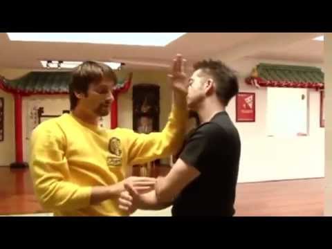 Preview: Sergio Iadarola - The Biu Tze Form