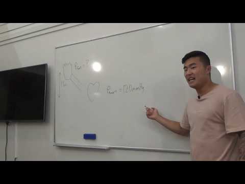 PHSI191: Tutorial 4 - Solids & fluids basic (Tom Lee) Biological Physics Otago HSFY 2019