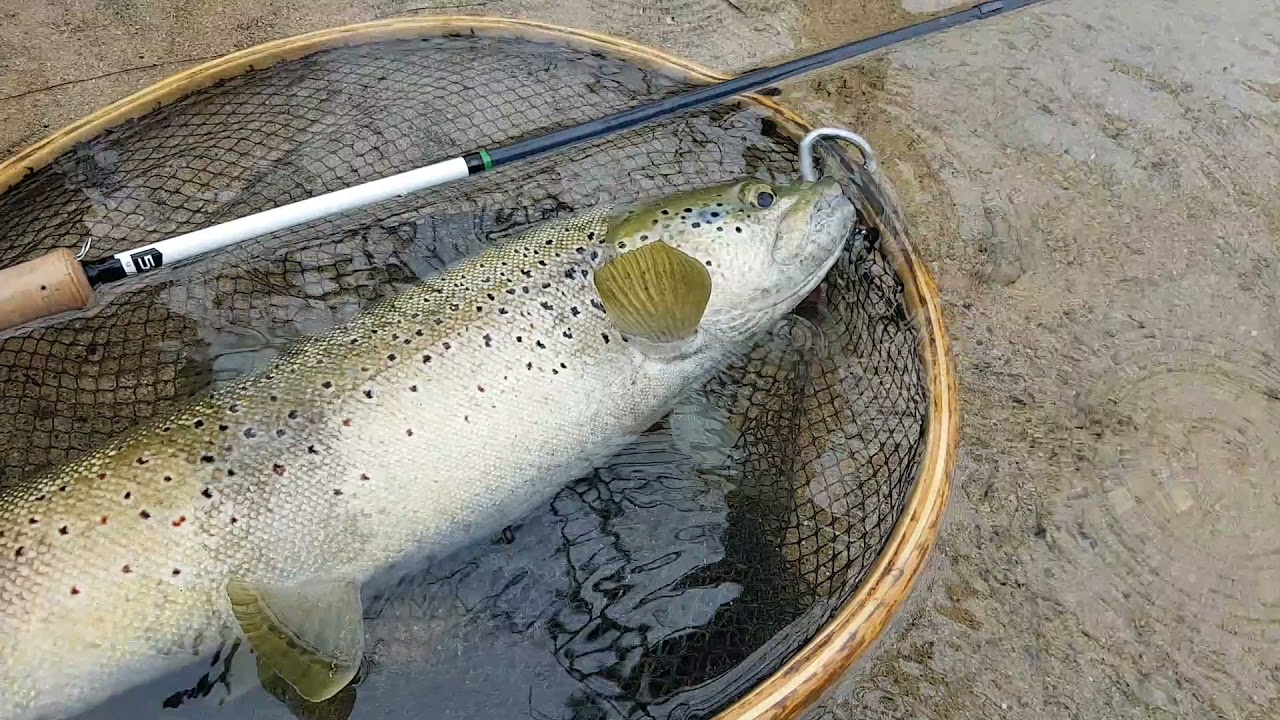 Résumé en vidéo de ma saison 2021.