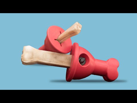 Boneguard - the chew-snack holder