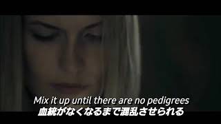 【和訳】Red Hot Chili Peppers - Midnight