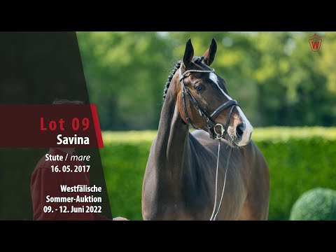 Sommer-Auktion Lot  09 Savina Stute v.  Sir Heinrich - Florestan I