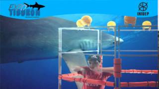 DIA 2 Expo Tiburon149