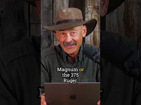 Choosing an All Around Cartridge for Hunting