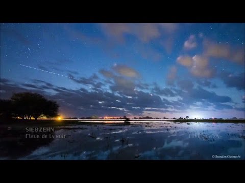 SIEBZEHN - Fleur de la nuit