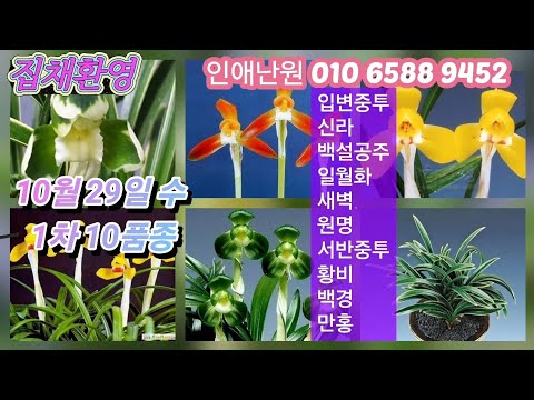 유튜브 썸네일
