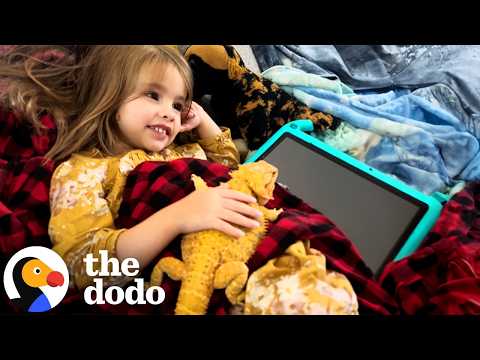 Four-Year Old's BFF Is Her Bearded Dragon | The Dodo