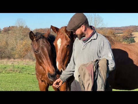 Exploring Nick's 21 Ha Farm: A Reunion with His Ex-Showjumping Horse!