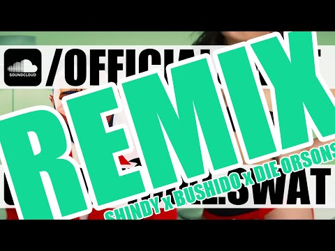 Shindy x Bushido x Die Orsons ► Immer Mehr Ventilator ◄ [ Deutschrap Remix Mashup ] by. SWAT MASHES