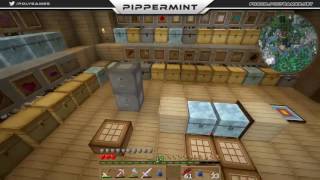 Découvrez le serveur Minecraft PLS