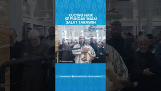 Kucing Melompat ke Imam Salat Tarwih, Warganet: Dia Rindu Suaramu Lantunkan Ayatullah