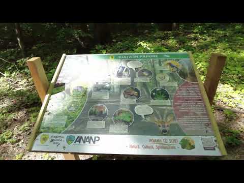 Poiana cu Schit  21/05/2023