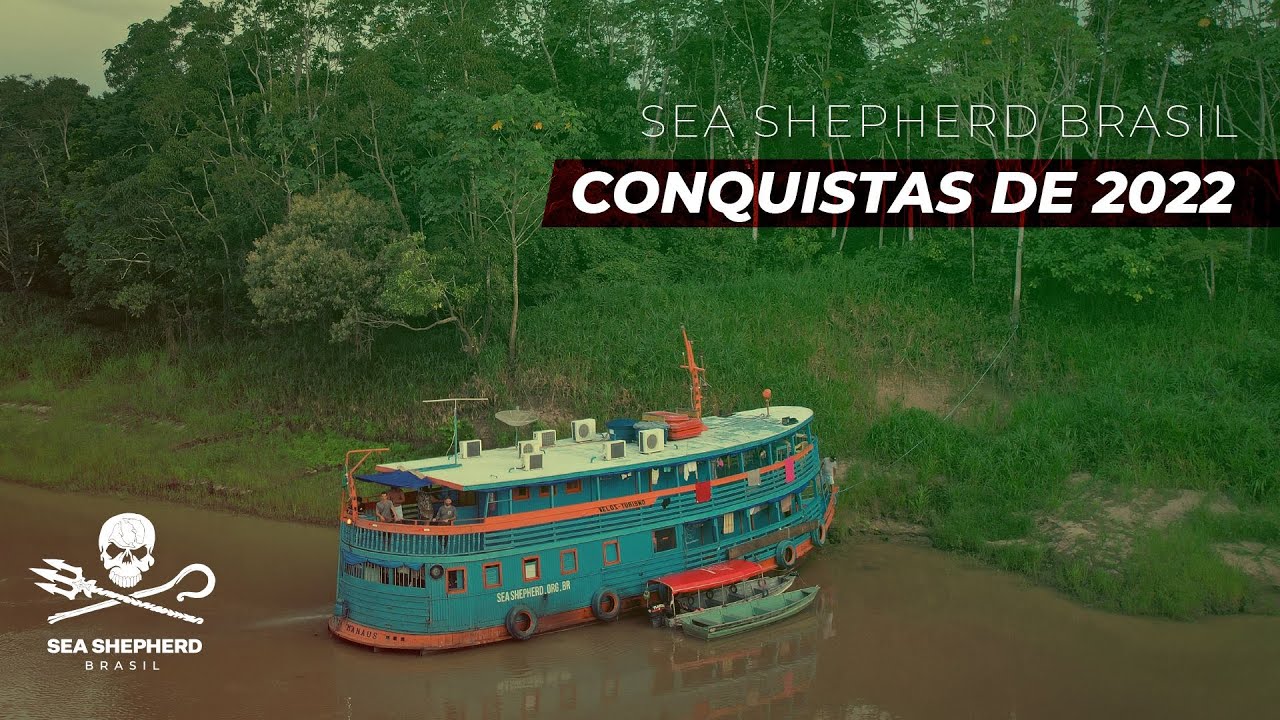 Conquistas da Sea Shepherd Brasil em 2022