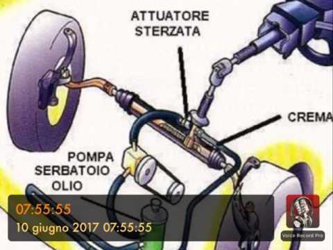 Sterzo e servosterzo