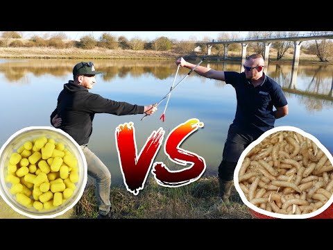 Hipster vs. Old School Köder. Feederangeln in Magdeburg