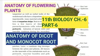 Class 11 Biology|Ch.-6 |Part-6||Anatomy of Dicot & Monocot Root||Study with Farru
