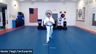 Live Class - Yellow Belt - 4.23.20 @ 3:30pm