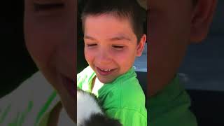 Best reaction from kids getting their new border collie pup!