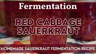 How to Make Red Cabbage Sauerkraut | Fermentation | Easy Home Fermentation Project Using Red Cabbage