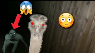 Download lagu Kevin Performs A Surprise Attack (Jump Scare Warning ⚠️😳) mp3