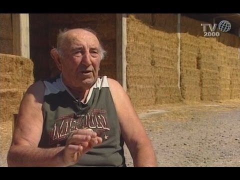 Storie e Persone. "Memorie di Comunità" - Arborea