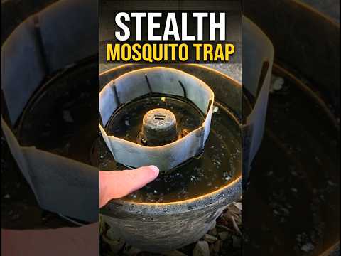 How This Bucket Turns Mosquitoes Into Exterminators 🦟👀