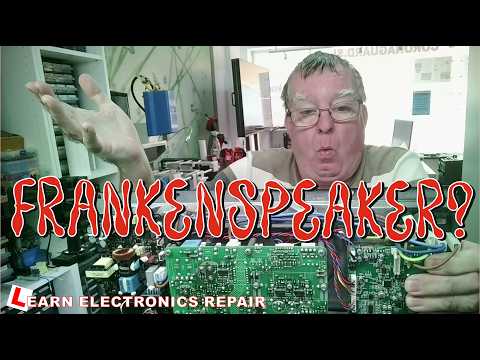 The Franken-Speaker: Did Someone Build This Speaker From Scrap Boards?