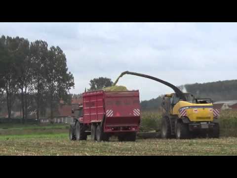 Loonw. Demarez-Marreel - Pittem