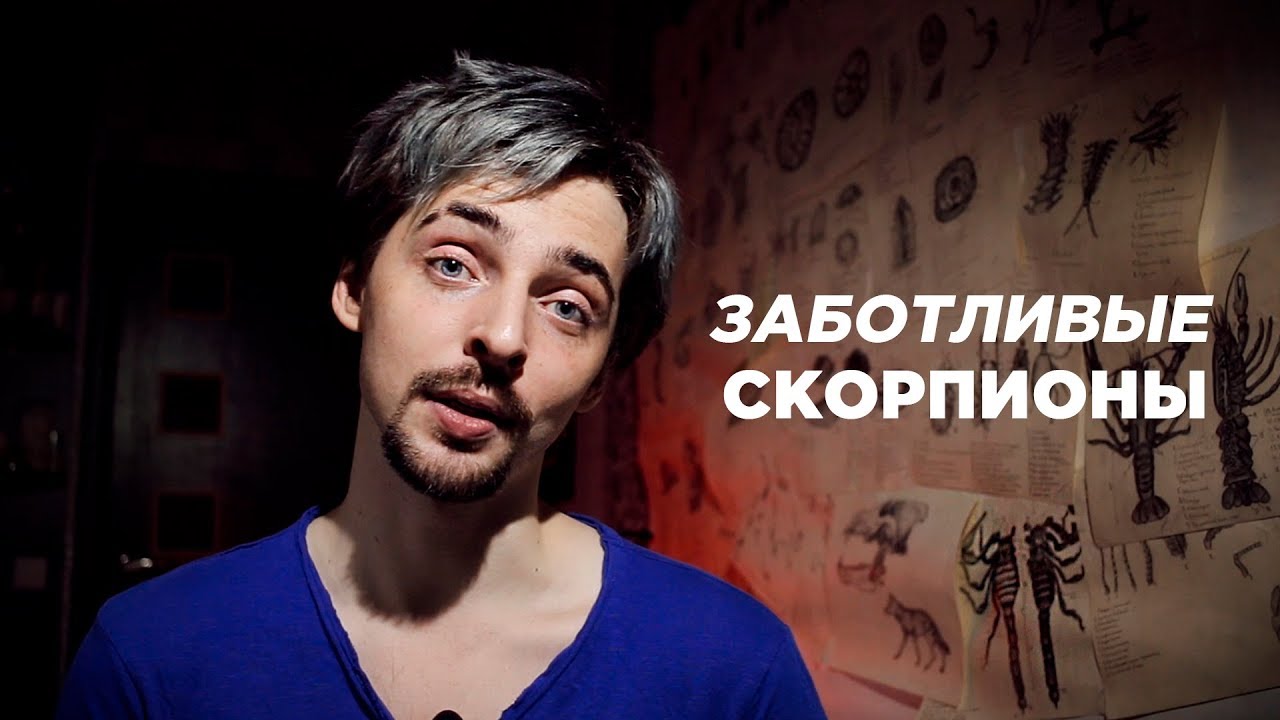 СКОРПИОНЫ (не ГОРОСКОП)