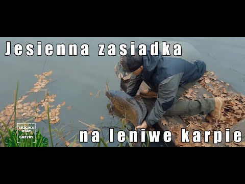 Jesienna zasiadka na karpie. "Trzcina, ryby i grzyby".