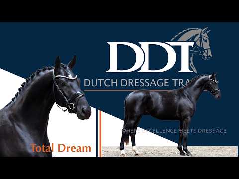 Total Dream